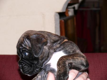 OURS le 24/07/2007