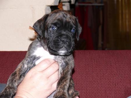 OURS le 24/07/2007