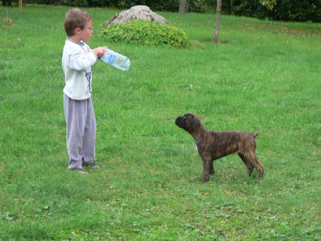 Calin (OURS)