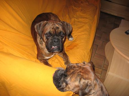 cosmic et crystal