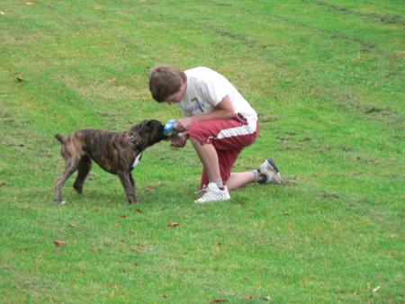 Calin (Ours)