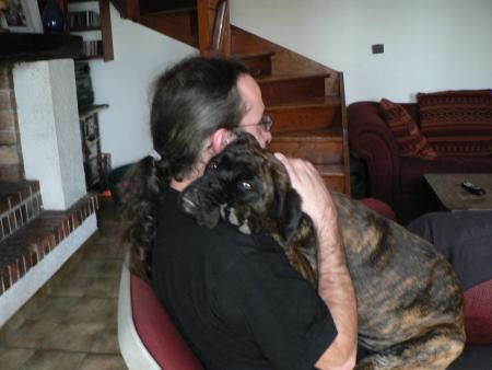 Calin (Ours)