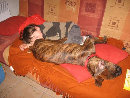 sieste avec mon petit ma&icirc;tre