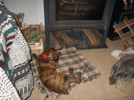 cyndelle
